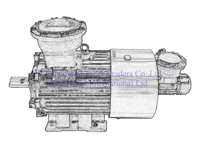 Variable-Frequency and Variable-speed Flame-proof Electric Motors