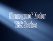 Flameproof Motors YB2-315S-10-45kW